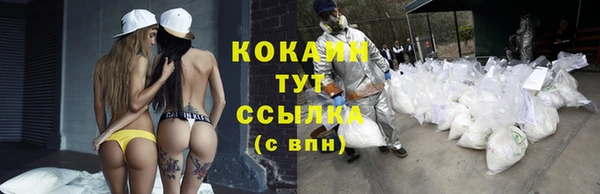 каннабис Дмитриев
